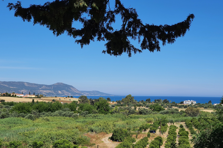 Business bank account Cyprus Why Open