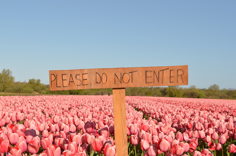 How to open a bank account in the Netherlands Don't