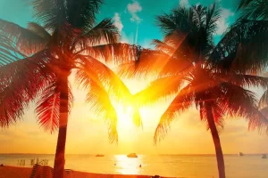 Advantages of Offshore Accounts