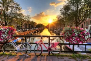 how to find the best international bank for expats