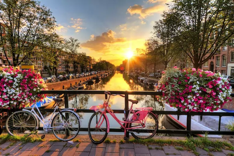 how to find the best international bank for expats